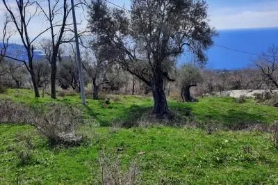 Prodaja, plac, 2600m², Dobre Vode, Bar