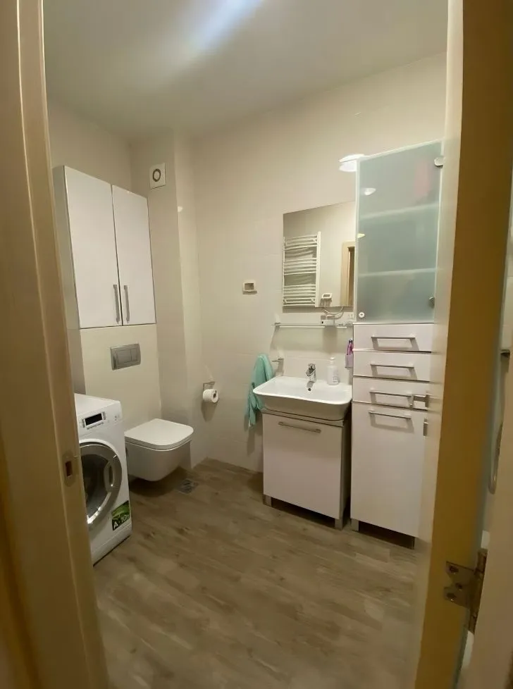 Bathroom equipped with a sink, toilet, washing machine, and bathroom cabinetry.