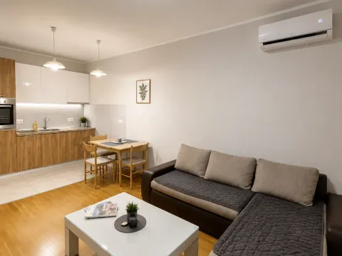 Rent, one bedroom apartment, 43m², Zabjelo, Podgorica - image 1