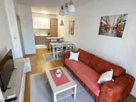 Izdavanje, jednosoban stan, 43m², City Kvart, Podgorica - image 8