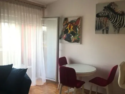 Izdavanje, dvosoban stan, 61m², Zabjelo, Podgorica - image 13