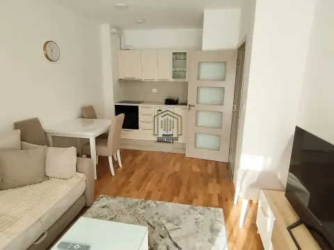 Izdavanje, jednosoban stan, 40m², Zabjelo, Podgorica - image 4