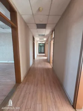 Izdavanje, poslovni prostor, 210m², Botanička Bašta, Palilula Sve Podlokacije - image 10