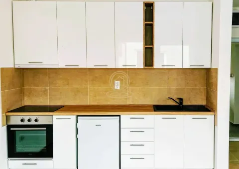 Rent, one bedroom apartment, 38m², Adice, Novi Sad Sve Podlokacije - image 5