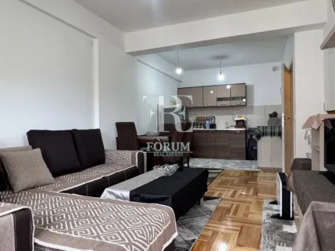 Izdavanje, jednosoban stan, 50m², Ljubović, Podgorica - image 5