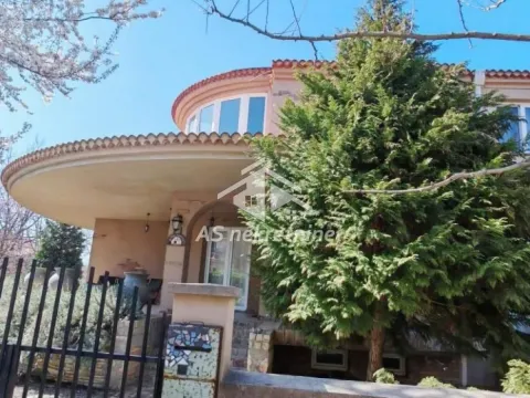 Rent, house, 270m², Jajinci, Voždovac Sve Podlokacije - image 32