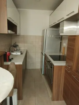 Stan-na-dan, jednosoban stan, 43m², Ljubović, Podgorica - image 8