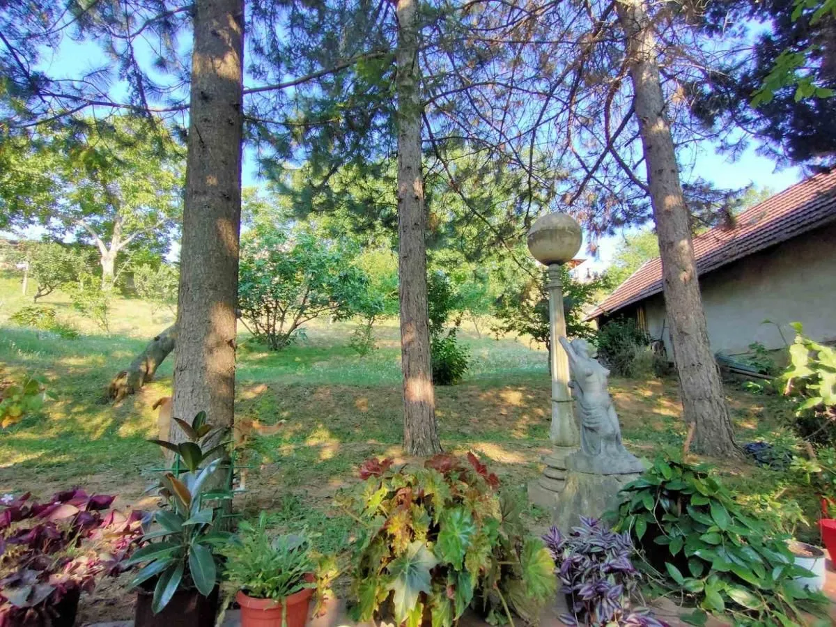 Prodaja, kuća, 250m², Sremska Kamenica, Petrovaradin