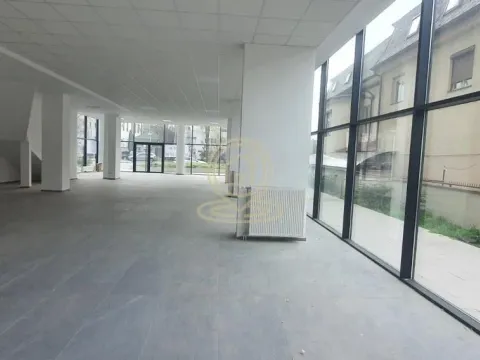 Poslovni prostor in Adamovićevo Naselje