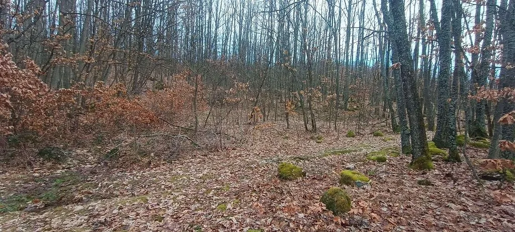 Prodaja, plac, 300m², Atomska Banja, Čačak