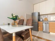 Izdavanje, jednosoban stan, 49m², Central Point, Podgorica - image 6