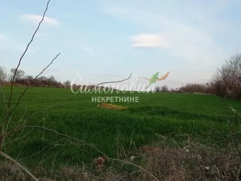 Sale, land lot, 6300m², Železnik, Beograd - image 3