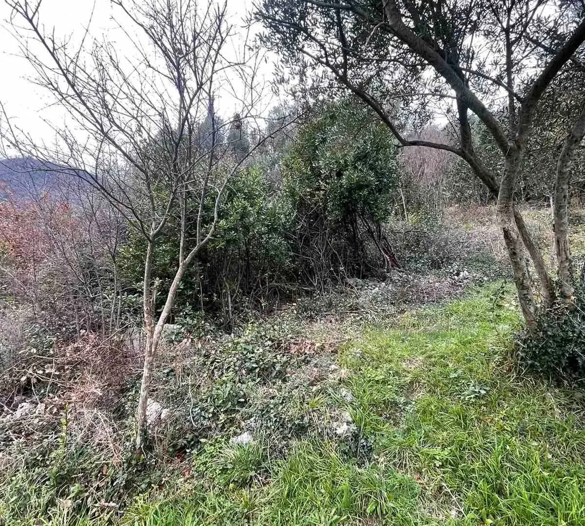 Prodaja, plac, 750m², Herceg Novi, Crna Gora