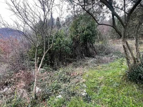 Prodaja, plac, 750m², Herceg Novi, Crna Gora - image 3