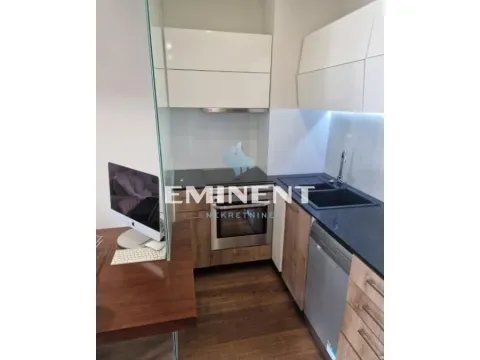 Izdavanje, dvosoban stan, 52m², Slavija, Vračar Sve Podlokacije - image 5