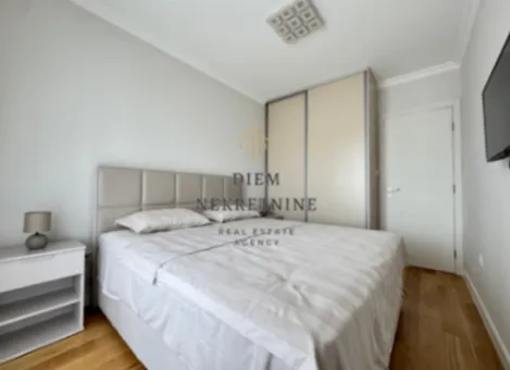 Izdavanje, jednosoban stan, 50m², Central Point, Podgorica - image 12