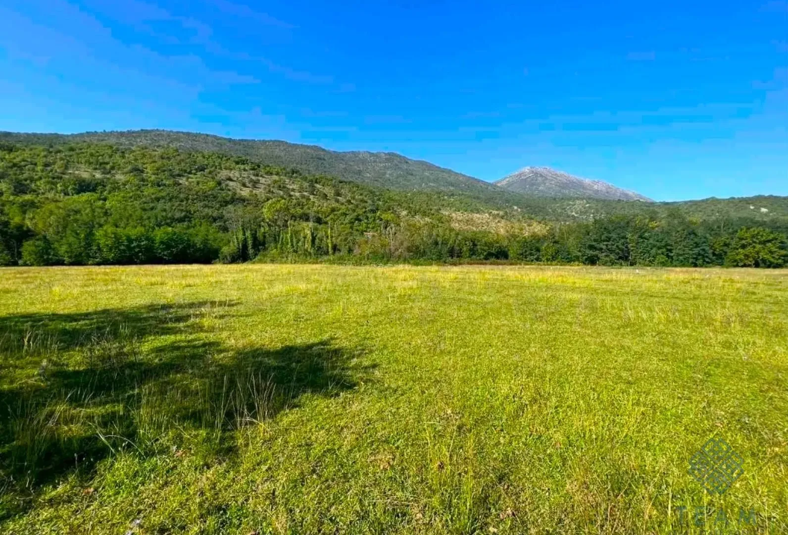 Prodaja, plac, 5181m², Ćurilac, Danilovgrad