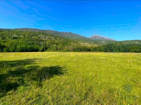 Sale, land lot, 5181m², Ćurilac, Danilovgrad - image 4