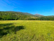 Prodaja, plac, 5181m², Ćurilac, Danilovgrad - image 4