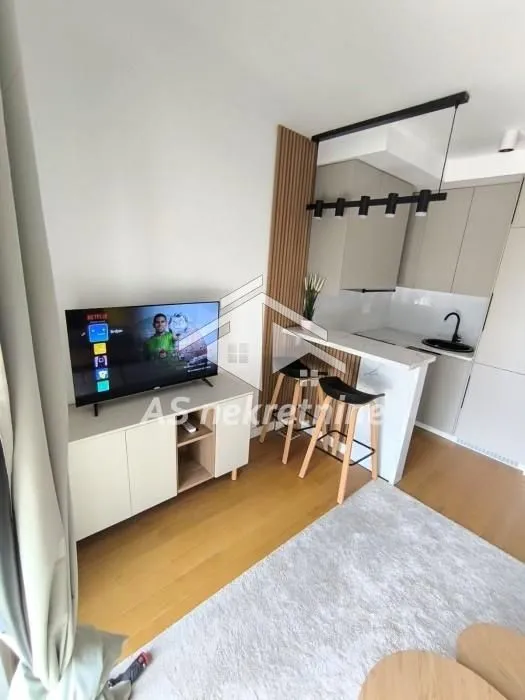 Rent, one bedroom apartment, 27m², Lion, Zvezdara Sve Podlokacije