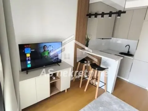 Izdavanje, jednosoban stan, 27m², Lion, Zvezdara Sve Podlokacije - image 11
