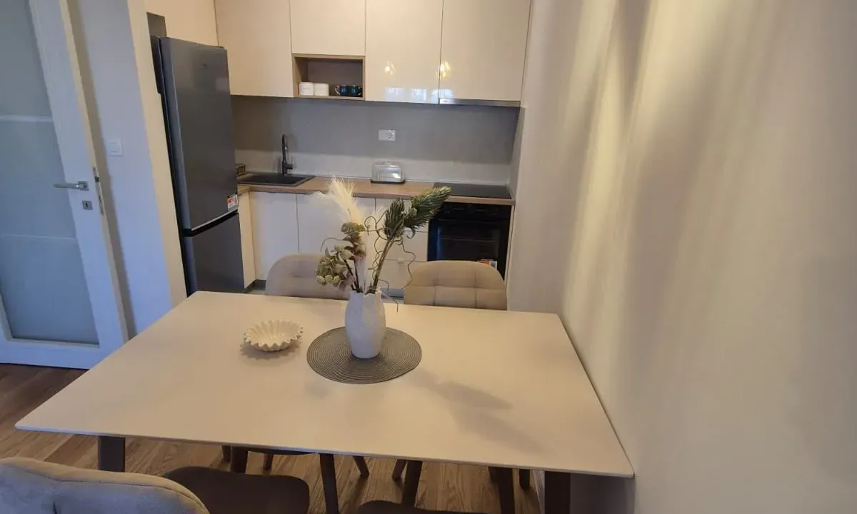 Izdavanje, jednosoban stan, 49m², Central Point, Podgorica