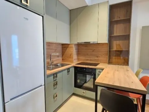 Izdavanje, jednosoban stan, 45m², Zabjelo, Podgorica - image 3