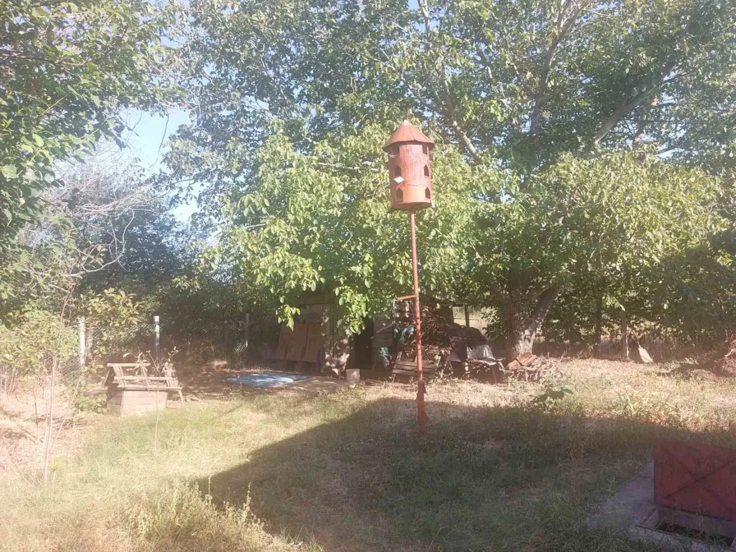 Dvorište sa drvećem i kućicom za ptice.
