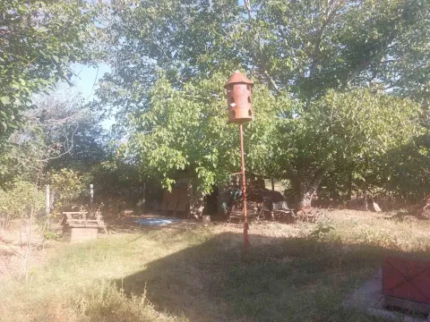 Dvorište sa drvećem i kućicom za ptice. - image 3