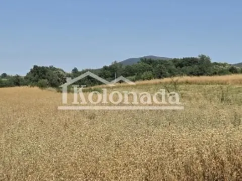 Sale, land lot, 6000m², Sopot, Beograd - image 2
