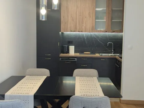 Rent, one bedroom apartment, 50m², New City, Podgorica - image 3