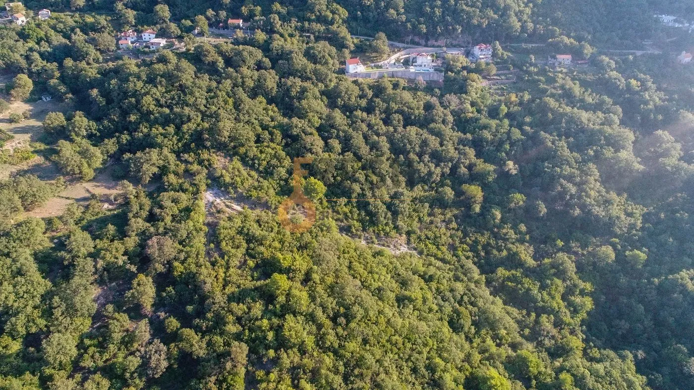 Prodaja, plac, 41645m², Budva, Crna Gora
