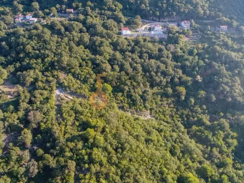 Prodaja, plac, 41645m², Budva, Crna Gora - image 6