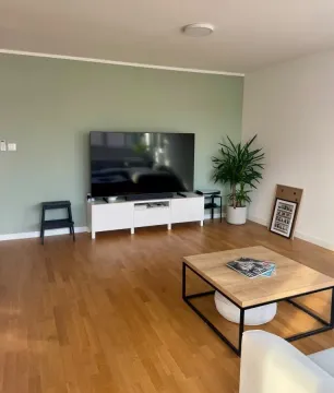 Dnevna soba sa velikim televizorom, drvenim podom i zelenim zidom. - image 3