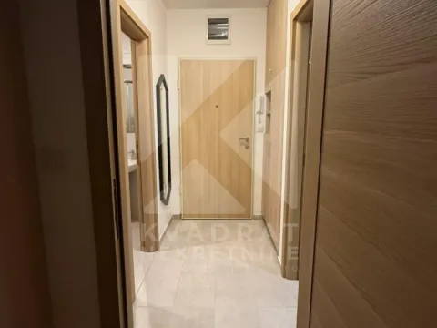 Izdavanje, jednosoban stan, 46m², Stari Aerodrom, Podgorica - image 7