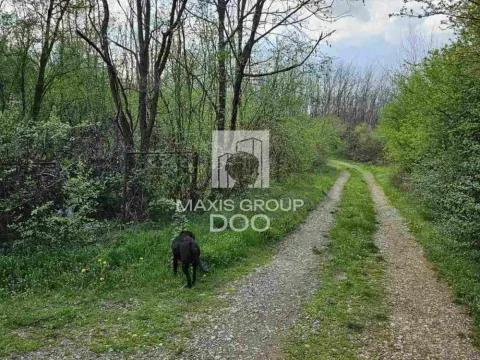 Prodaja, plac, 976m², Draževac, Obrenovac - image 19
