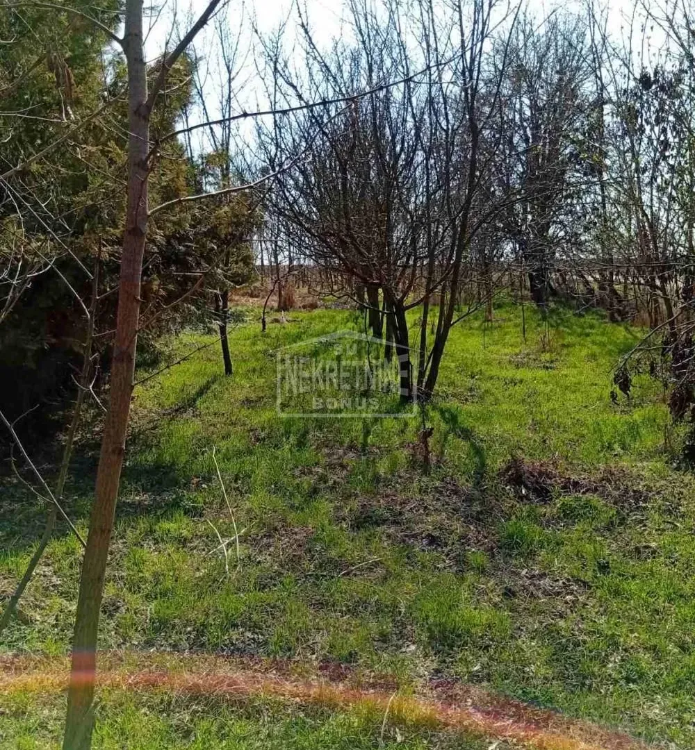 Prodaja, plac, 1563m², Gornji Tavankut, Subotica