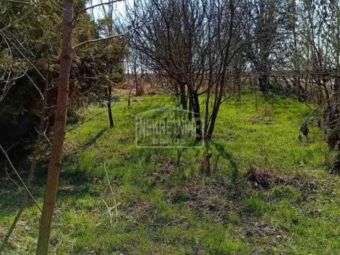 Prodaja, plac, 1563m², Gornji Tavankut, Subotica - image 9