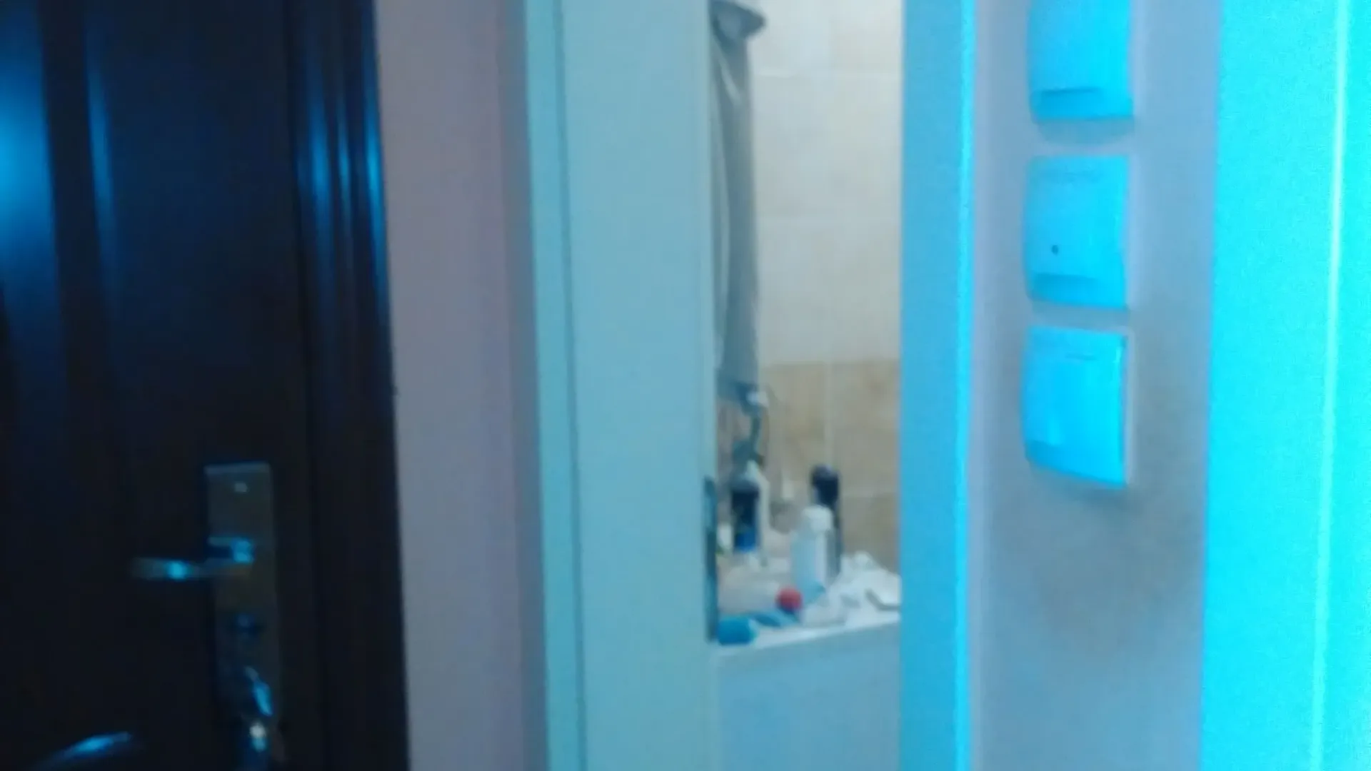 Izdavanje, dvosoban stan, 38m², Novi Sad Sve Podlokacije, Novi Sad