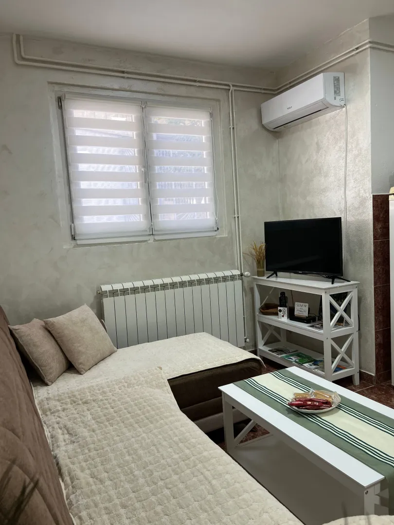 Living room with sofa, television, and air conditioning.