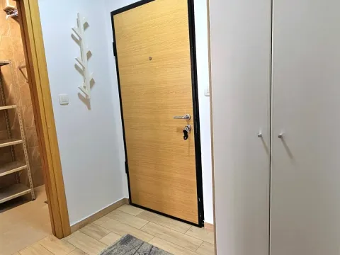 Rent, one bedroom apartment, 52m², Dalmatinska ulica, Podgorica - image 10