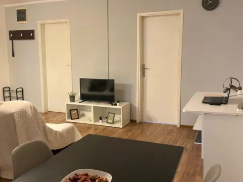 Izdavanje, dvosoban stan, 50m², Centar, Podgorica - image 5