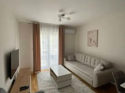 Izdavanje, jednosoban stan, 45m², Zabjelo, Podgorica - image 2