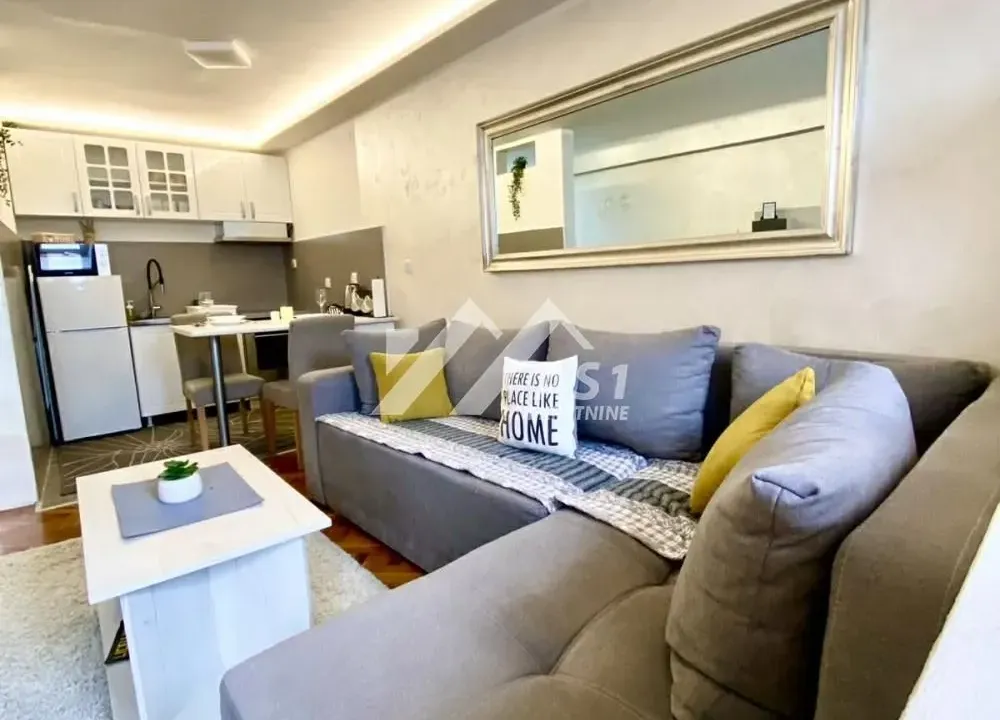 Rent, one bedroom apartment, 31m², Centar, Novi Sad