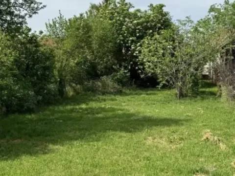 Prodaja, kuća, 469m², Futog, Novi Sad Sve Podlokacije - image 3