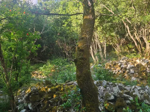 Prodaja, plac, 1000m², Mojdež, Herceg Novi - image 2