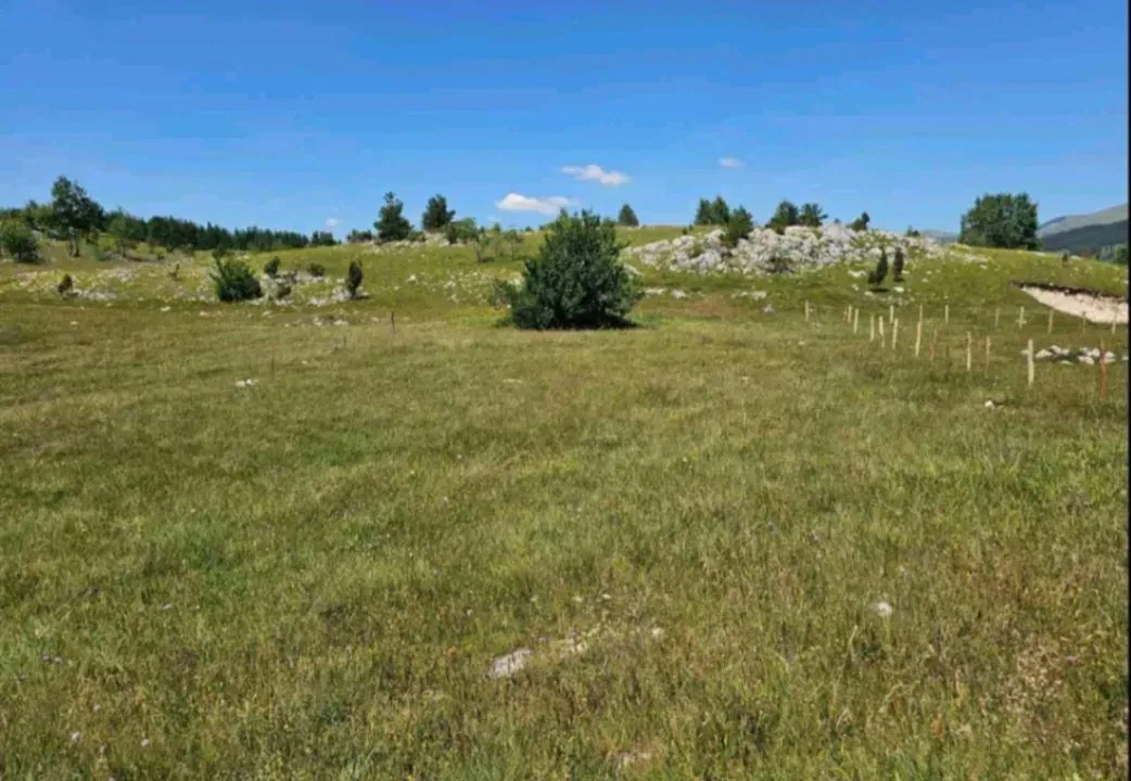 Sale, land lot, 543m², Borje, Žabljak