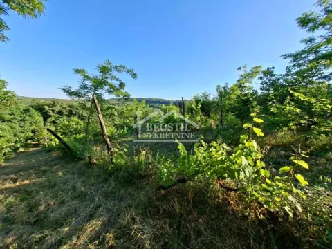 Prodaja, plac, 1800m², Grocka, Beograd - image 3