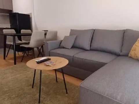 Stan in Tošin bunar