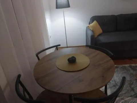 Izdavanje, jednosoban stan, 40m², Centar, Podgorica - image 4